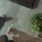 كروان بينو ذكر وثلاث اناثي فراشه وروز البينو .