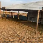 مظلة سيارات او حلال