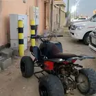 دباب سويدي