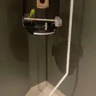 طيور للبيع مع اغراضها للتواصل