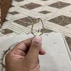 شبك طيور