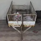 قلص للبيع