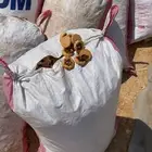 بسكوت للحلال