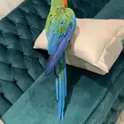 مكاو كتالينا للبيع