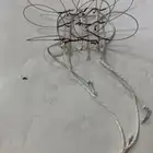 شبك صيد صقور