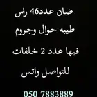 غنم طيبه جدا