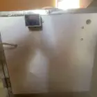 صوص بلدي