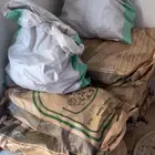 ارطا رمثث 7 خياش خمسه كبار و ثنتين صغار