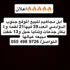 ابل مجاهيم جمله