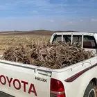 للبيع اصندوق رمث