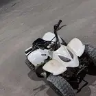 دباب رام للبيع