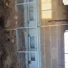 بطريات ارنب