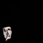 قطع فورد جراند ماركيز