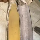 مراتب فورد ماركيز او فكتوريا
