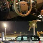 اكسبدشن 2014 نضضيف جدا