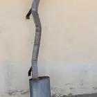 دبه ربع