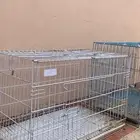 أقفاص قطط وحمام