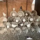 حمام فرنسي ابيض عشه كمله منتج شرط