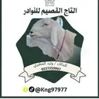 معزا