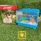 هامسترات