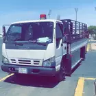 دينه نقل دينا نقل داخل وخارج جده