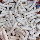 علف مكعب
