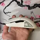 ماوس قلوريوس