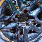 جنوط عدد 4 اربعه جنوط مكحل نظيف مشروطه