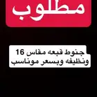 مطلوب جنوط قبعه