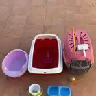 مستلزمات القطط