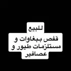 قفص ببغاوات و مستلزمات طيور و عصافير