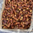 تمور الفرع
