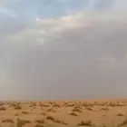 ناقه حمرا حايل طيبه