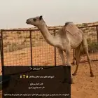 فطيم كفوو نادررر