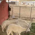 السلام عليكم ورحمة الله وبركاته