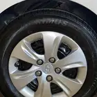 جنوط