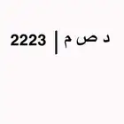 لوحة د ص م 2223