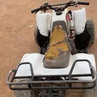 دباب سويدي