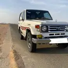جيب ربع حكومي