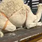 بكره كفو فل للبيع مغلقه التواصل اتصال