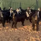 جفرات عوارض