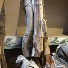 حطب مستورد سمر