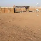لبيع