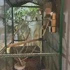 حضيرة طيور بقلاوه