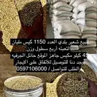 شعير بلدي