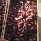 تمور تمر خضري للبيع