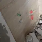 مبلط