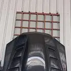 كبوت قيفاري مع شبك علامه كورفيت