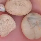 احجار زينه حجر زينه طبيعي احجار كريمه