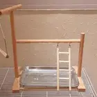 استاند خشبي للطيور ب70 فقط